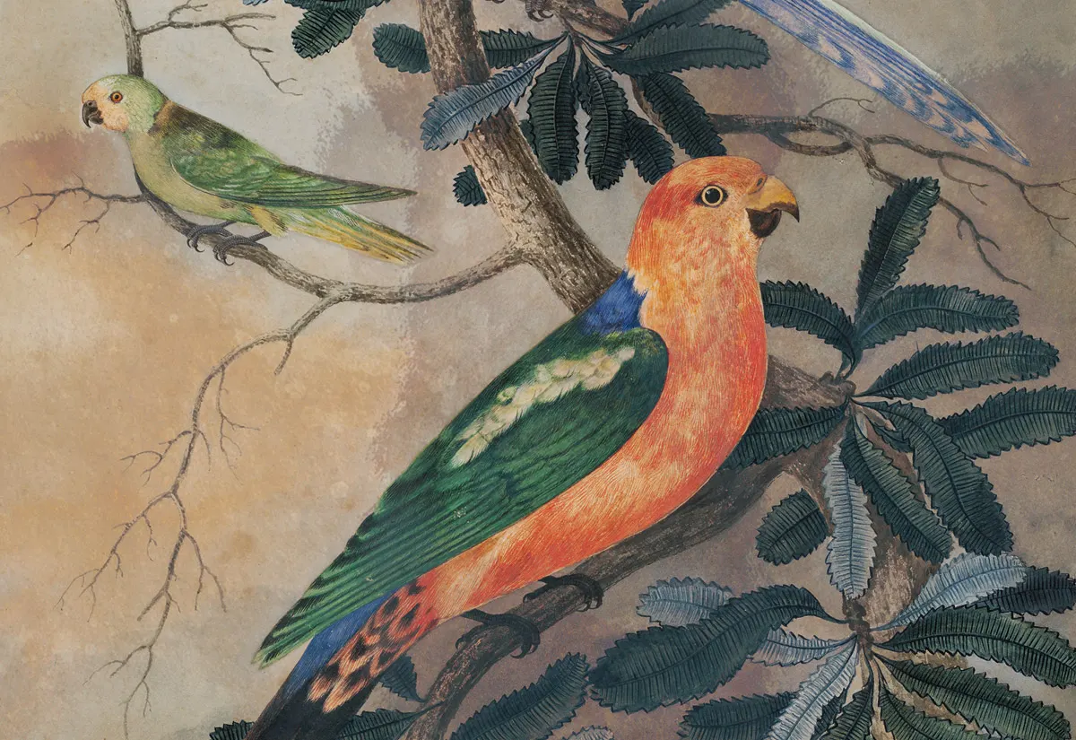 State Library NSW — Connecting Audiences to Collections