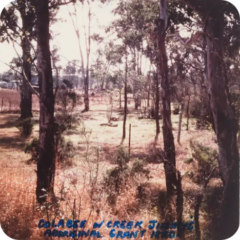 Blacktown Native Institute site, c1978