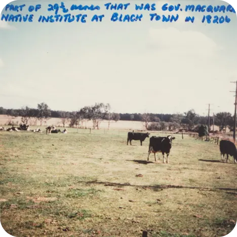 Archival photograph 2 from the SLNSW collection