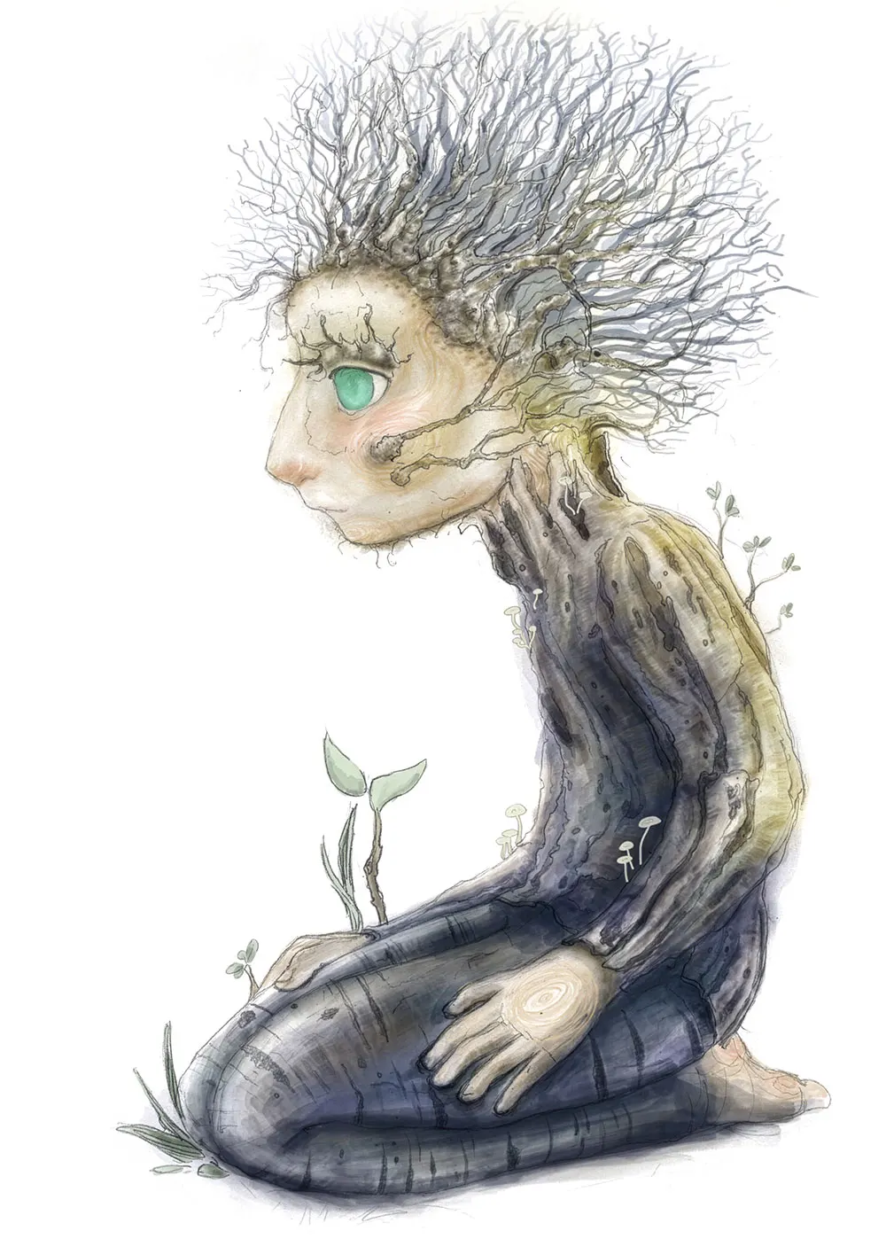 Exhibited illustration