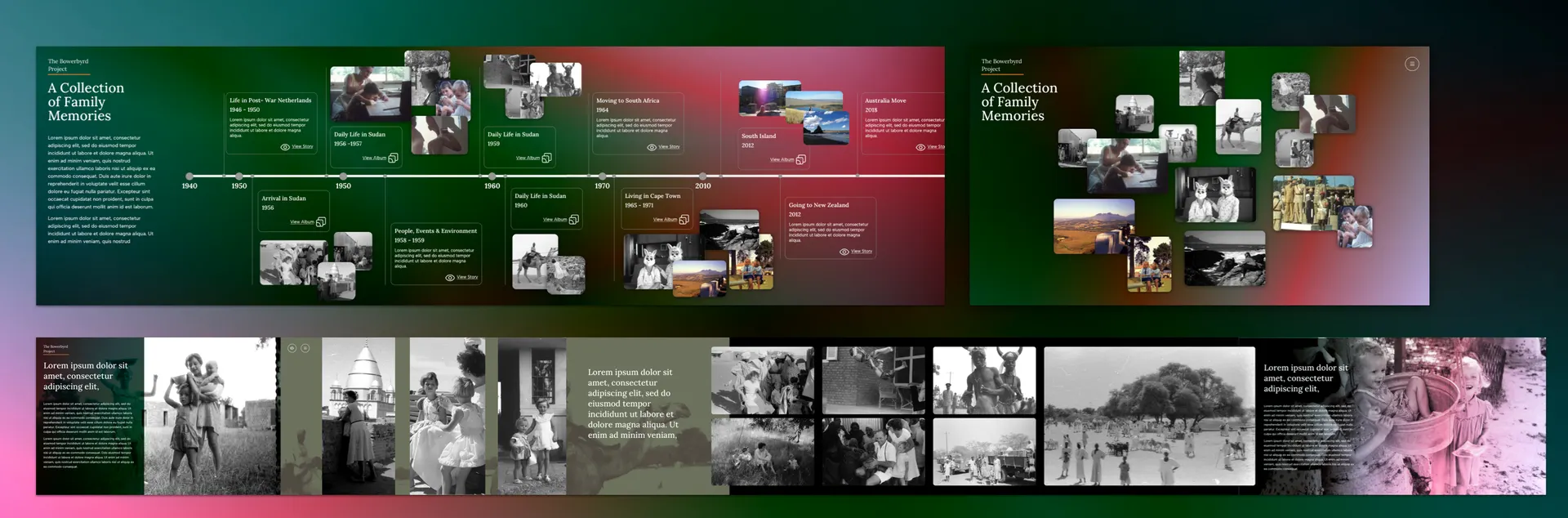 Concept screens side by side: a timeline view, a collection view and a reading view