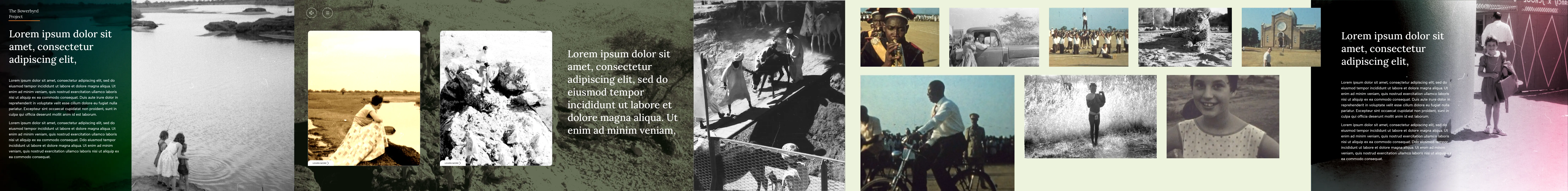 A long band of concept story pages: reading views, photo grids and full-bleed images